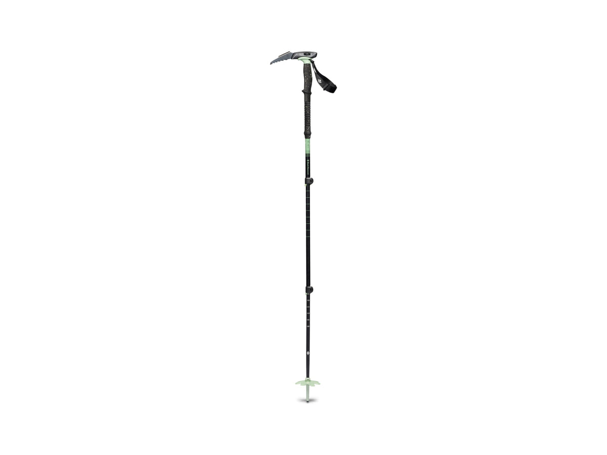 Black Diamond Expedition 3 Whippet Desert Sage 140 cm