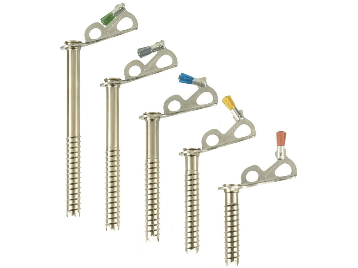 Black Diamond Express Ice screws