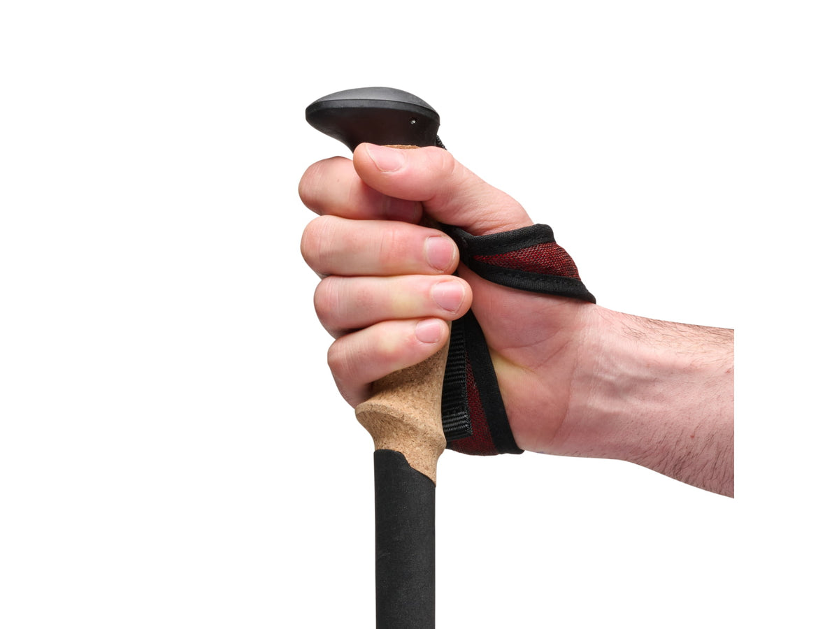 Black Diamond Pursuit Carbon Z Poles