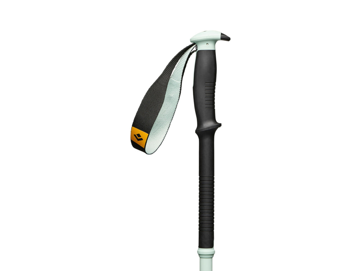 Black Diamond Traverse Pro Ski Poles