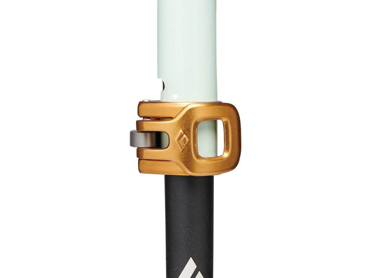 Black Diamond Traverse Pro Ski Poles
