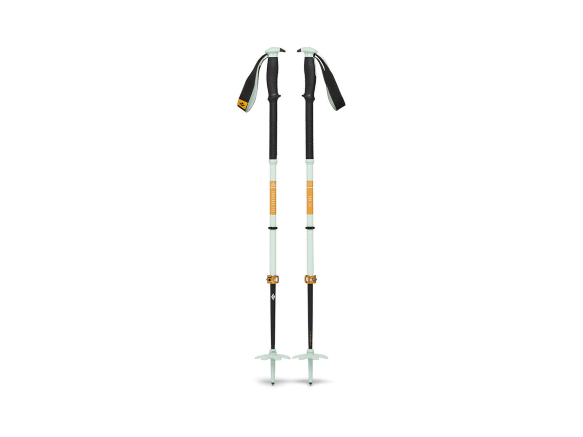 Black Diamond Traverse Pro Ski Poles