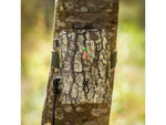 Browning Trail Cameras Trail Camera External Battery Pack Camo BTC XB