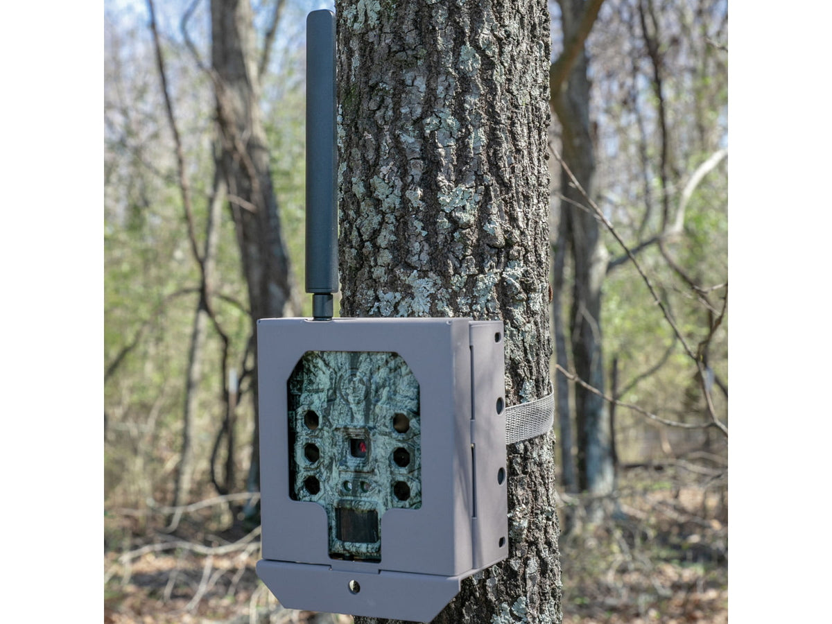 Bushnell Security Box Cellular Tan 119951C