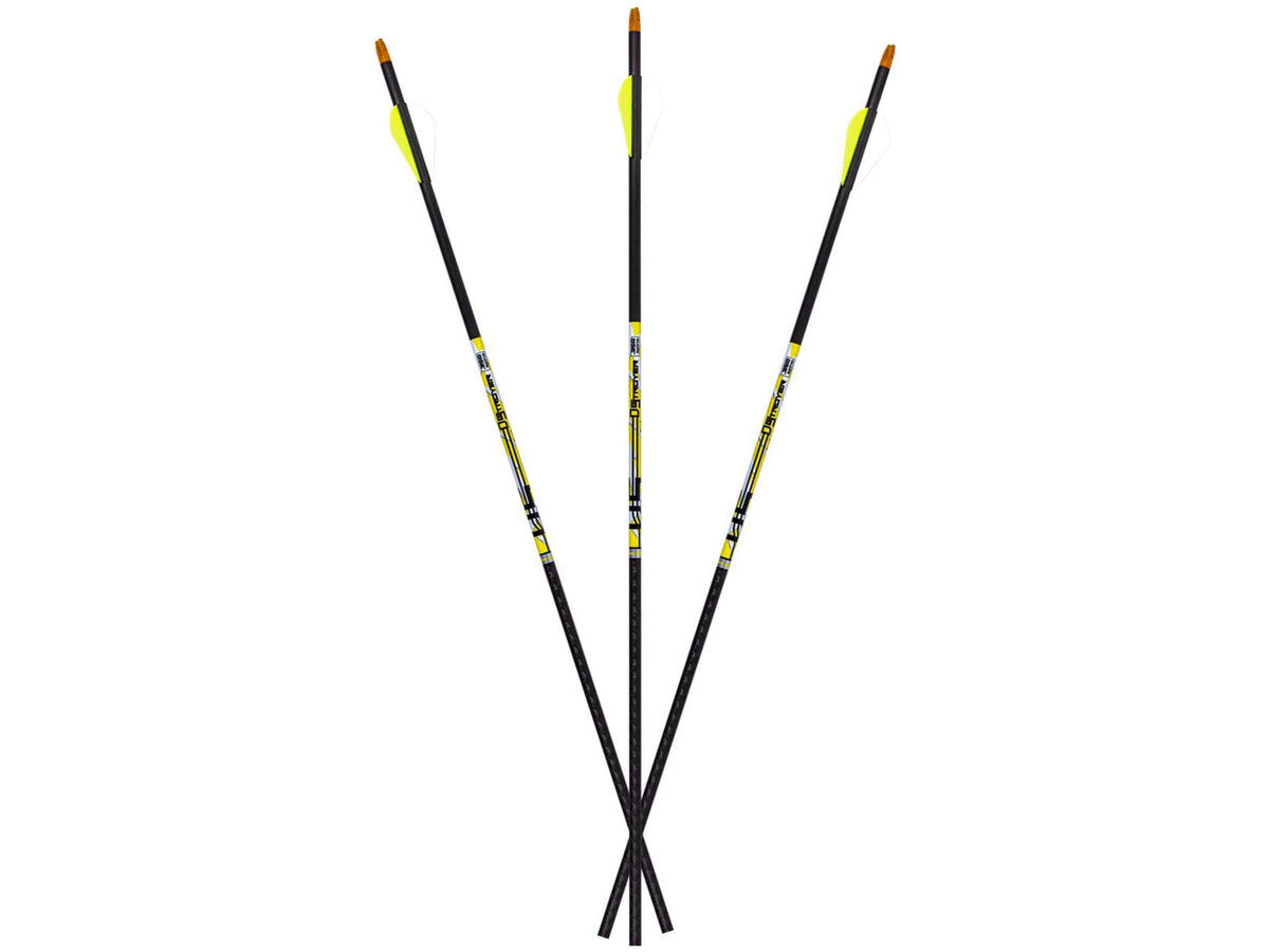 Carbon Express D-Stroyer 500 12-pack Shafts 51158