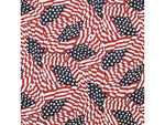 Carolina Manufacturing American Flag 000114