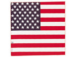 Carolina Manufacturing American Flag 000114