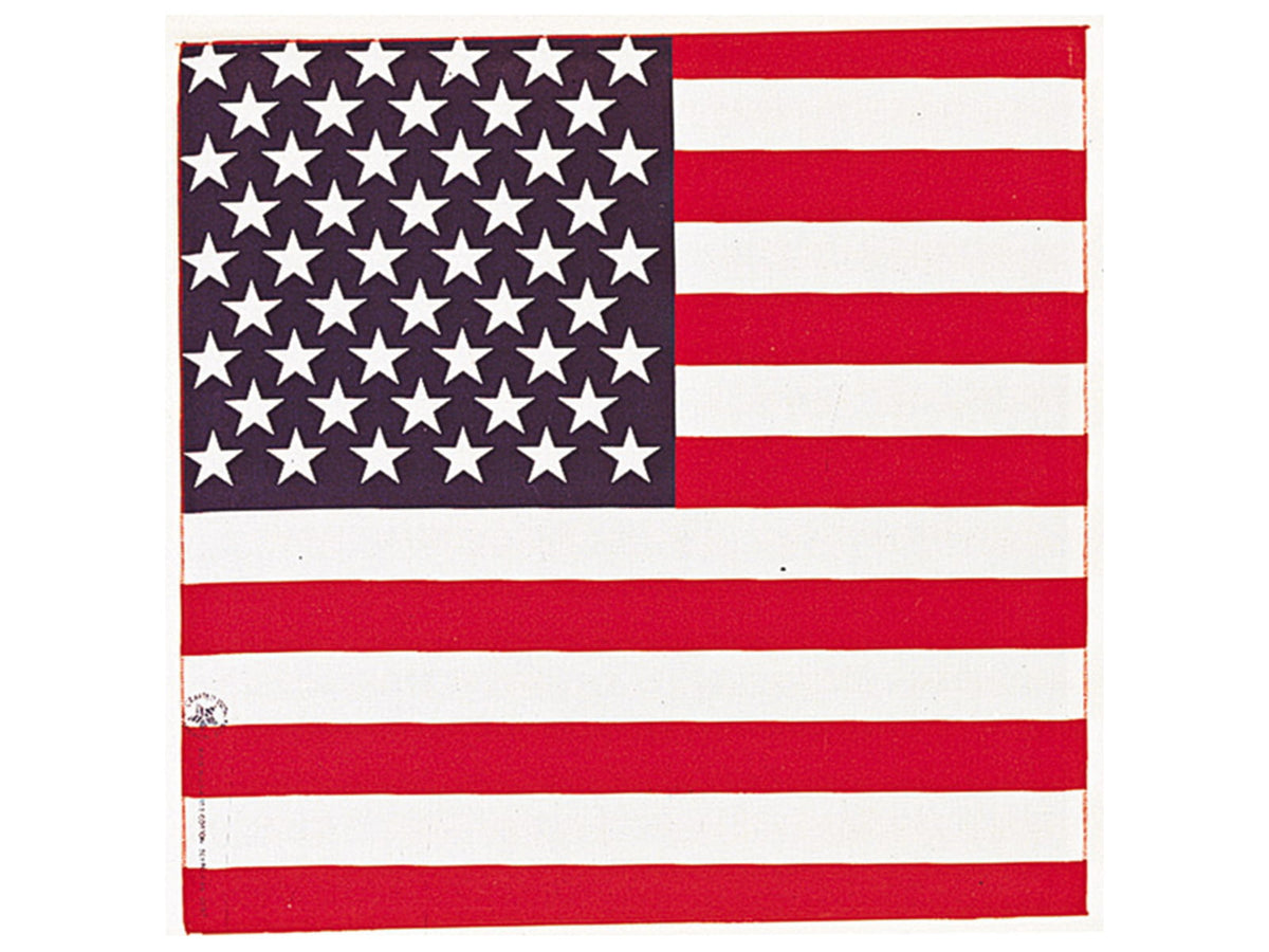 Carolina Manufacturing American Flag 000114