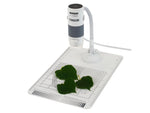 Carson 75/x300x eFlex Digital Microscope w/Flex Neck Stand and Base MM-840