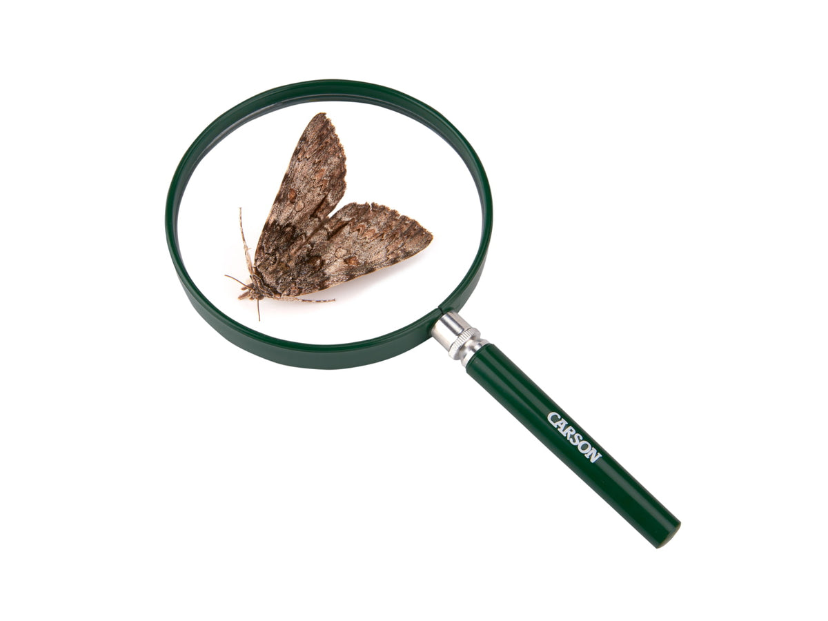 Carson BigEye 2.5x 5in Acrylic Hand Magnifier Outdoor Green HU-20