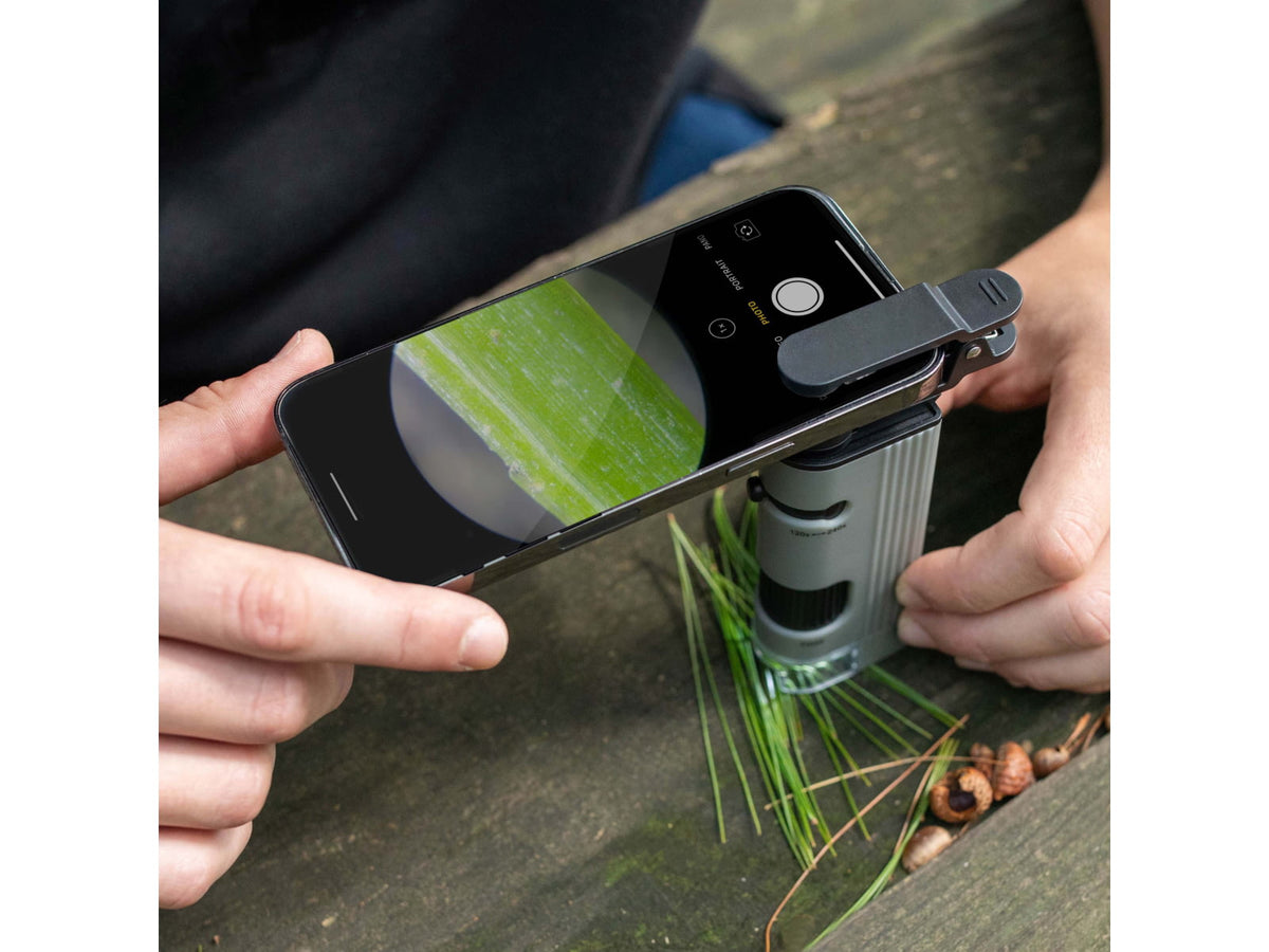 Carson Optical MP-400 MicroPic 120-240x Pocket Microscope Gray 1.0 in x 1.7 in x 5.1 in MP-400
