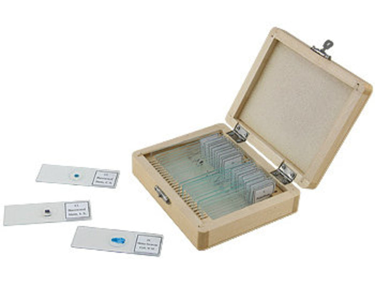 Celestron 25 Piece Prepared Microscope Slides Set 44410