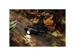 Coast XPH30R Headlamp
