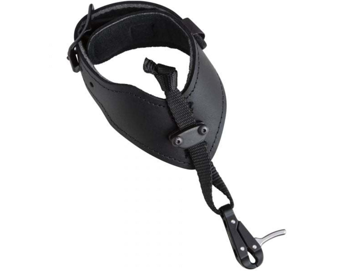Cobra Archery Sportsman AP Release