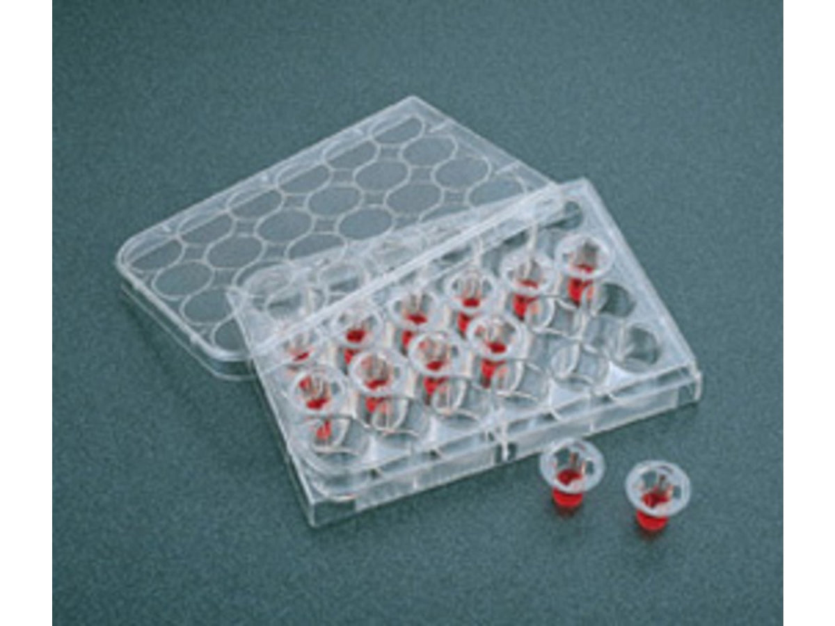 Corning Transwell Inserts 6.5MM CS48 3421