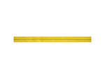 Cypher 30 Ft 11/16 Webbing - Royal ROYAL