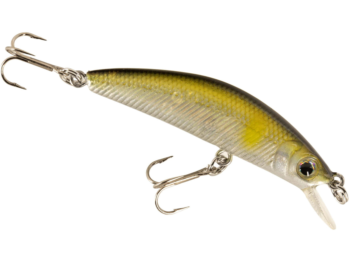 Daiwa Dr Minnow Jerkbait Lure