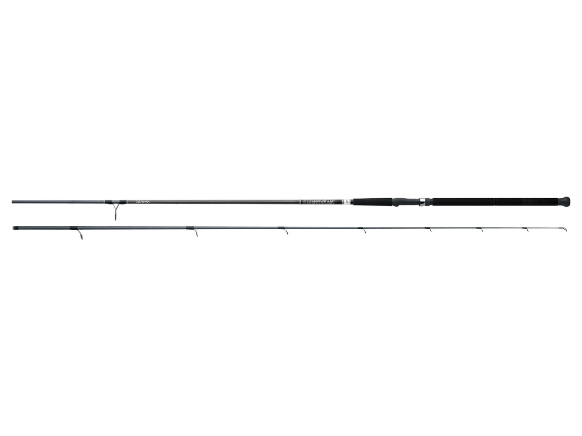 Daiwa Emcast Surf Spinning Rod 12ft Medium Heavy Fast 2 Pieces