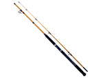 Daiwa FT Surf Spinning Rod 8ft Medium Fast 2 Pieces