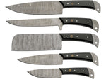Damascus Kitchen Knife Set with Roll DM1396