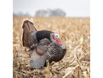 Dave Smith Decoys Jake Strutter Decoy Standard JST
