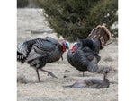 Dave Smith Decoys Jake Strutter Decoy Standard JST
