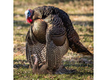 Dave Smith Decoys Mating Hen Decoy Black MAH