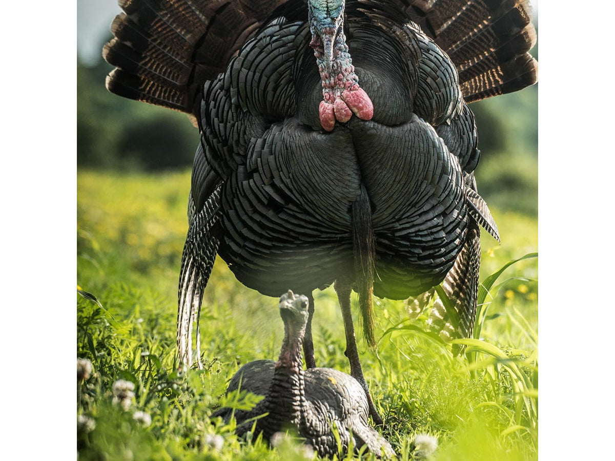 Dave Smith Decoys Mating Hen Decoy Black MAH