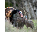 Dave Smith Decoys Upright Hen Decoy Black UPH