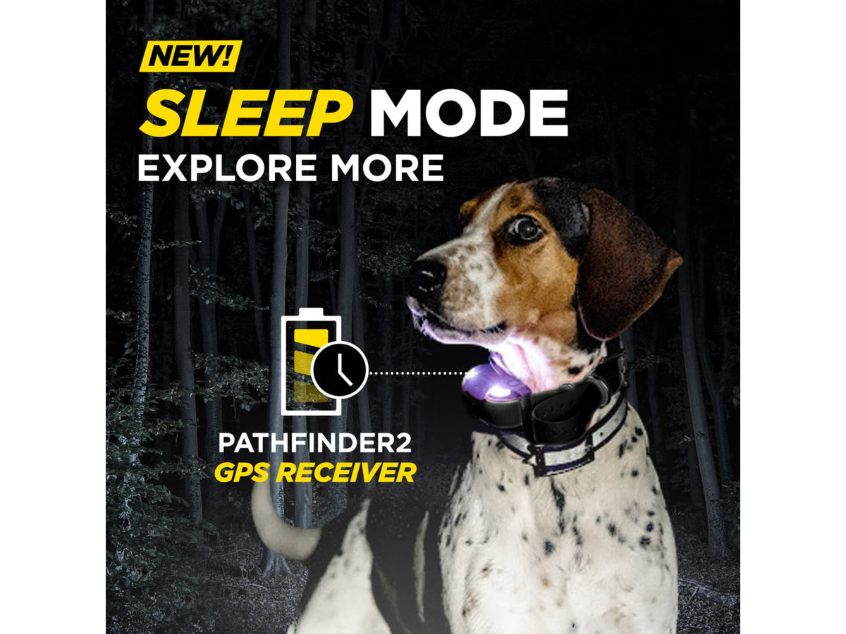 Dogtra Pathfinder2 Additional Receiver Black 1409827