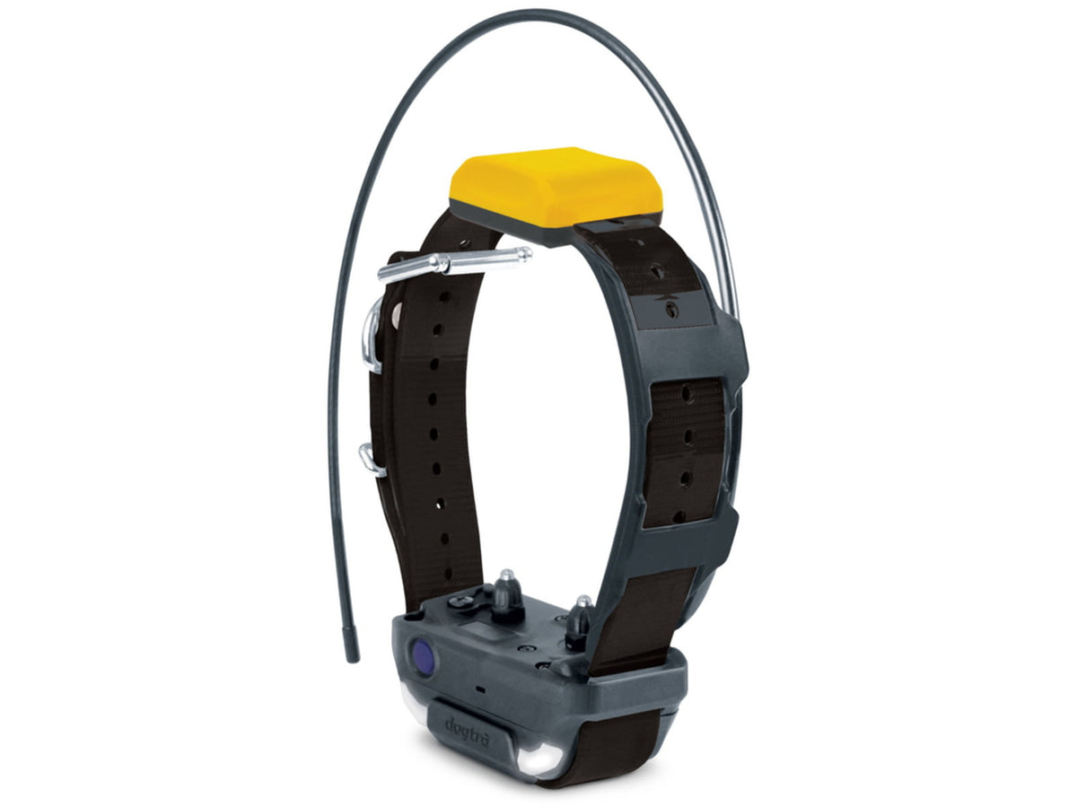 Dogtra Pathfinder2 Additional Receiver Black 1409827