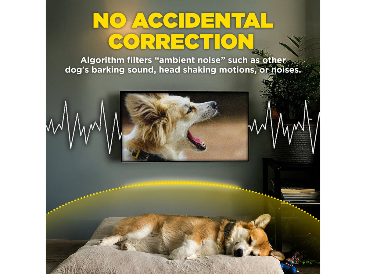 Dogtra Smart Nobark Collar 1409830