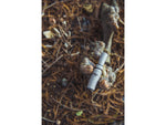 Duck Commander DCRDC100 Phil Robertson Pro Series Oak Duck Raspy Brown Wood/Acry DCPPSO