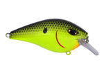 Duckett Fishing BD 2.5 Squarebill Crankbait