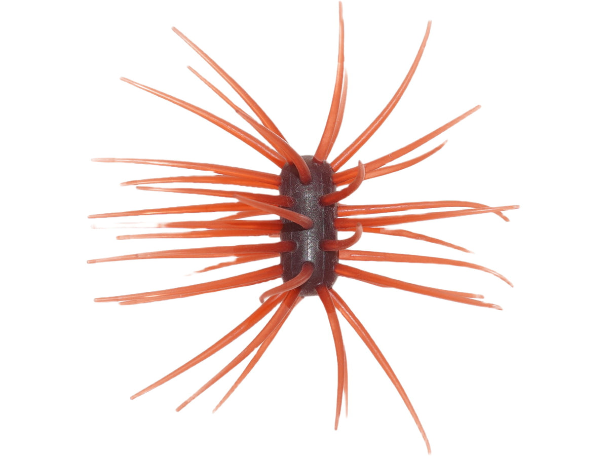 Fishing Lures & Baits
