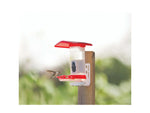 FeatherSnap Hummingbird Gen 1 Camera Black