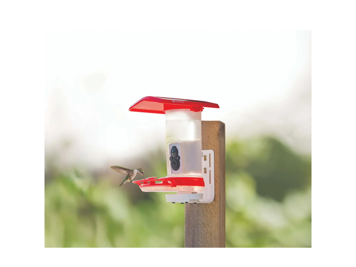FeatherSnap Hummingbird Gen 1 Camera Black