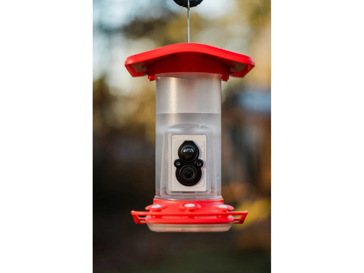 FeatherSnap Hummingbird Gen 1 Camera Black