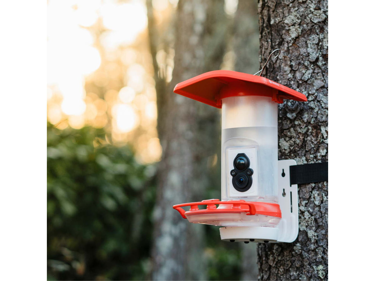 FeatherSnap Hummingbird Gen 1 Camera Black