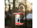 FeatherSnap Hummingbird Gen 1 Camera Black