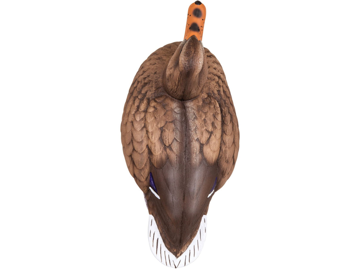 Flambeau Master Series Mallard Floater Decoys Multi 1812DPK