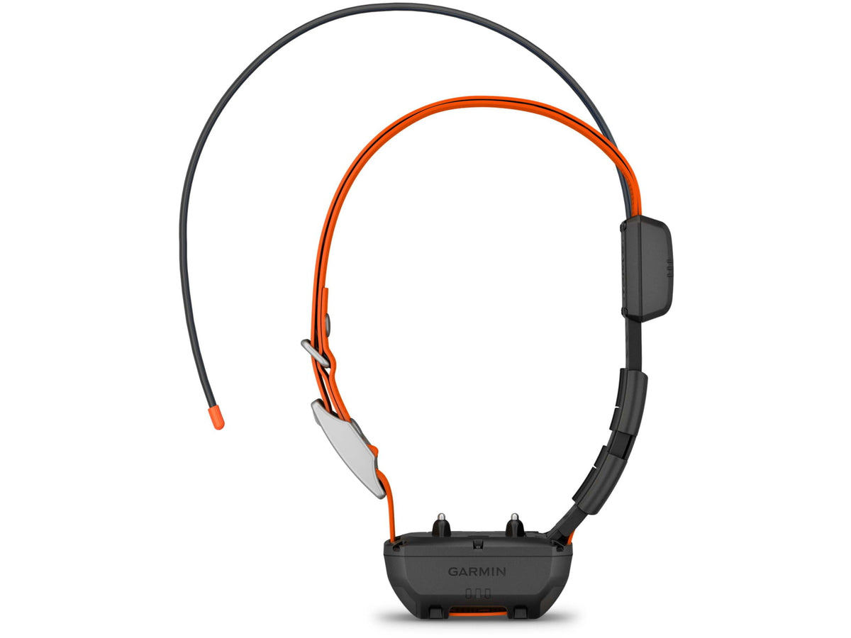 Garmin Alpha TT 25 Dog Collar LED 010-02447-20
