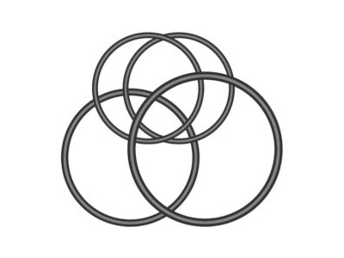 Garmin Varia Universal Mount O-Rings 010-12385-10