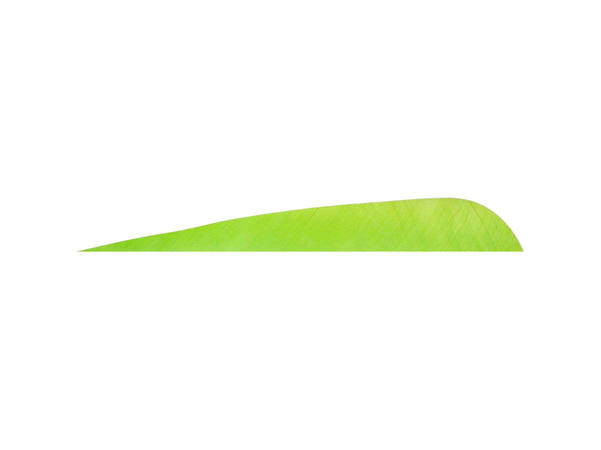 Gateway Parabolic Feathers Chartreuse 4 in RW 12 pack 1006455