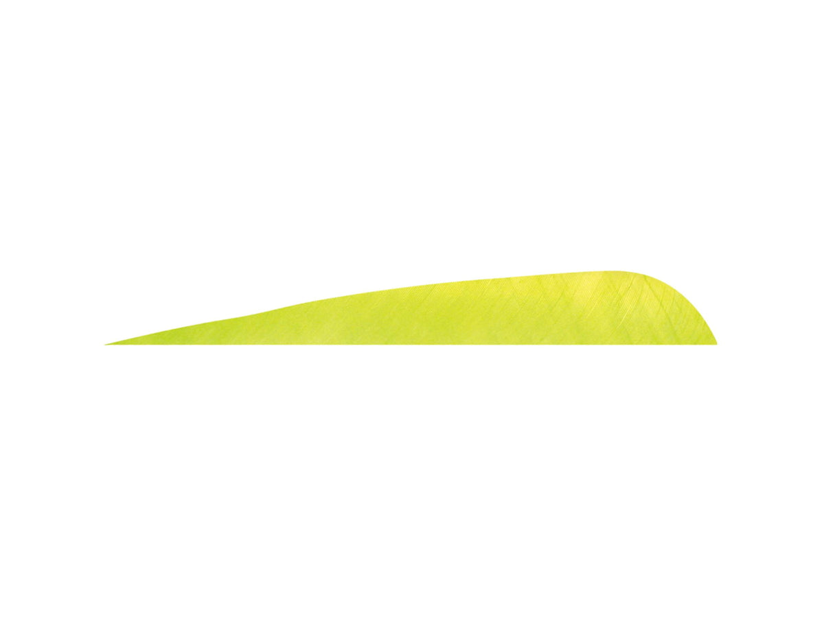 Gateway Parabolic Feathers Lime 5 in RW 12 pack 1006457