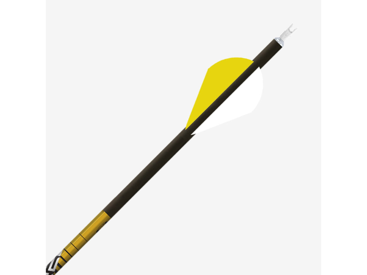 Gold Tip Series 22 Pro Shafts 12 pack 22PROSN
