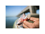 Googan Squad Crappie Jig Pink 1/8oz