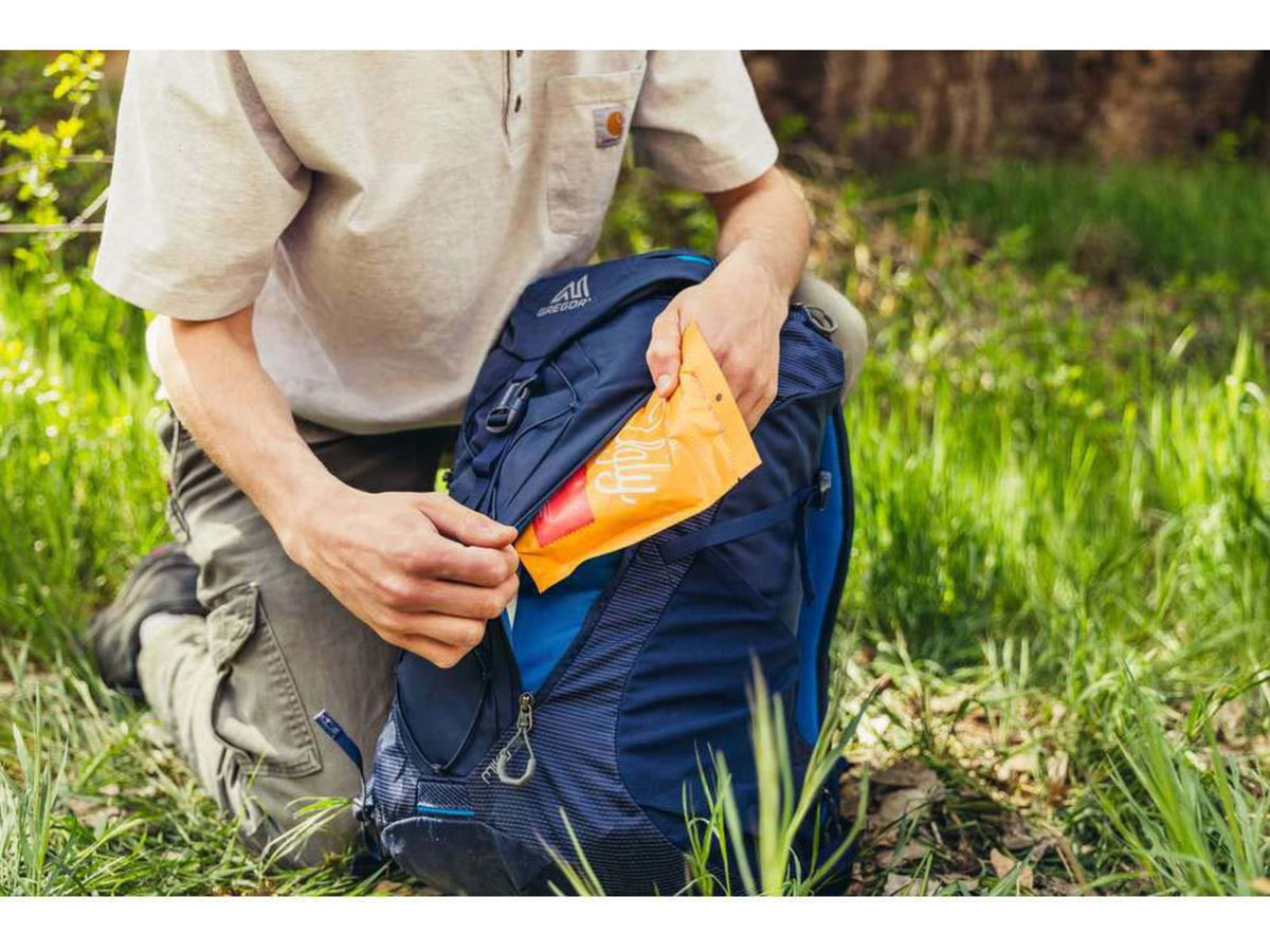 Gregory Miko 30 Daypack