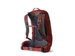 Gregory Citro 30L Daypack - Men's