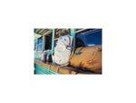 Gregory Nano 18L Daypack Sage White One Size